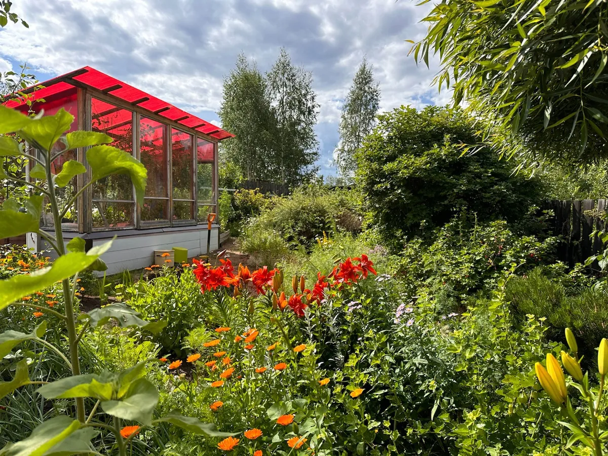 С 2 мая теплицы под запретом: принято новое решение для россиян, владеющих дачей или земельным участком — новые штрафы