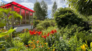 С 2 мая теплицы под запретом: принято новое решение для россиян, владеющих дачей или земельным участком — новые штрафы