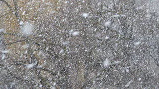  Ночью Рязанскую область накроет метель