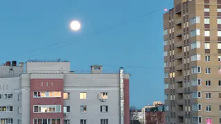 Лунный календарь на сентябрь 2025: какие дни будут самыми лёгкими и спокойными