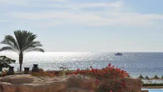 Рязанские туристы смогут полететь в Египет 