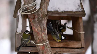 14 января в Татарстане метель успокоится