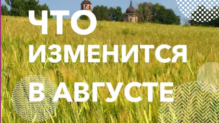 Главные законы, которые в августе изменят жизнь рязанцев