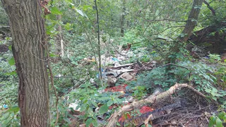 Суд обязал Минлесхоз устранить свалку в Петушинском районе