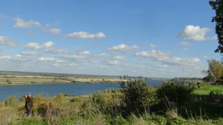 В Оку отпустили несколько тысяч молодых стерлядей