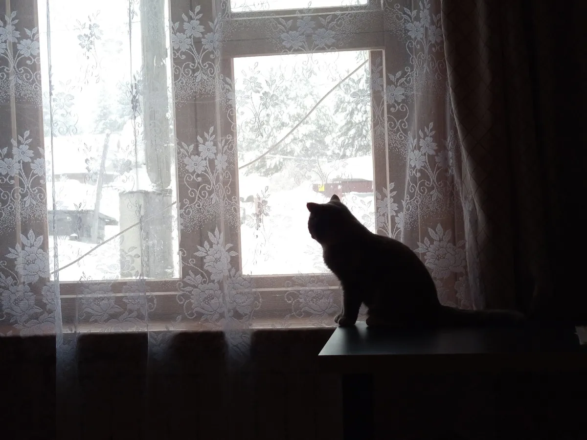 Погода Магнитогорска: 10 февраля прогнозируется резкое потепление