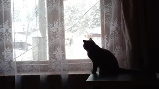 Погода Магнитогорска: 10 февраля прогнозируется резкое потепление