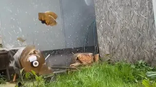 Во Владимирской области взорвались кеги из-под пива