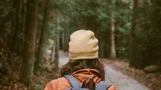 В 2022 году в лесах Рязани заблудились 33 человека