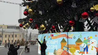 Как сильно похолодает на январские праздники — синоптик Позднякова дала новый прогноз