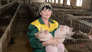 В Шацке, работница свинофермы питается в долг