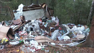 В лесистой местности Камешковского района обнаружили нелегальную свалку