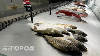 Эта рыба просто кишит паразитами: мы ее едим и даем детям. В ней нашли 10-метровых червей