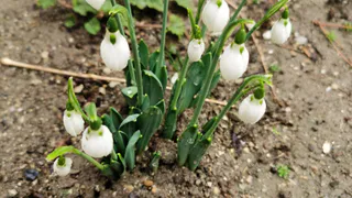 17 апреля подарит Чувашии по-настоящему весеннее тепло