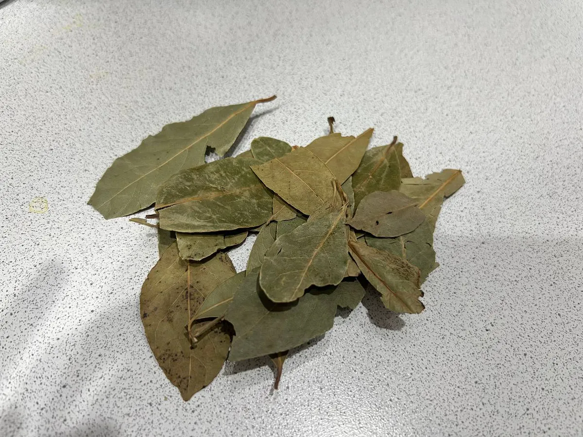 Закопала лавровый лист в огороде — и спокойна всю зиму: делаю так каждую осень, результат радует много лет