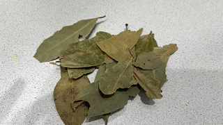 Закопала лавровый лист в огороде — и спокойна всю зиму: делаю так каждую осень, результат радует много лет