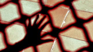 Брянских сотрудников УФСИН обвиняют в подделке рапортов и избиении заключенных