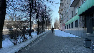 Снега не будет: Вильфанд предупредил о затяжной «псевдозиме» - когда же выпадент снег