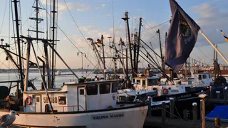 Стало известно, о чем мечтают работающие сыктывкарцы