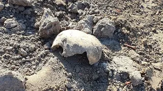 Жителей Рязани возмутили разрытые могилы на площади Свободы