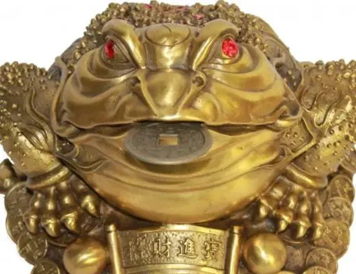 Куда нужно поставить денежную жабу, чтобы купаться в деньгах