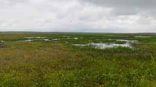Спасатели нашли погибшего охотника под Усинском