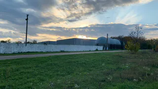 Ни травы, ни деревьев: зачем крестьяне сознательно оголяли свои дворы