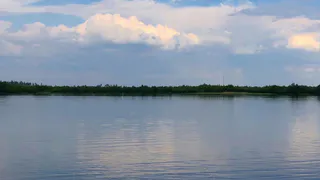 Прокуратура Рязанской области проведёт проверку водоёмов из-за гибели людей