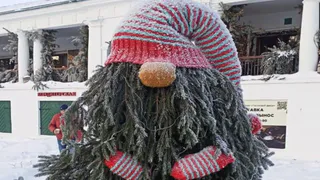 В Суздале к Новому году появится «Аллея ёлок» с уникальными арт-деревьями