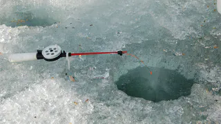 Следователи устанавливают причину смерти рыбака в Башмаковском районе