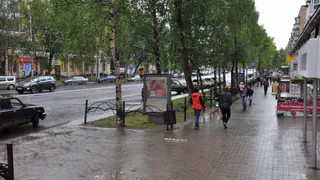 Пасмурно и переменная облачность: прогноз погоды на рабочую неделю в Рязани