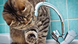 Мыться? А зачем? Нижнекамцы второй день без холодной воды