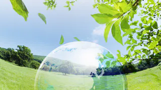 В Нижнекамске запустят проект "Чистый воздух"