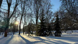 В Никольске Пензенской области благоустроят нижний пруд за 76,5 млн рублей