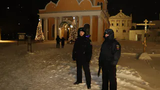 Хулиган в маске с игрушечным пистолетом задержан под Рязанью