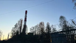 В Коми за девять месяцев сократился выпуск сырья, но выросло производство продовольствия