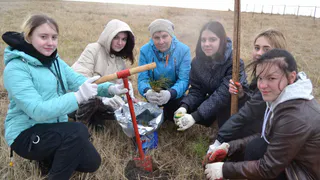 Зеленый десант: в Пронске школьники посадили сто сосен