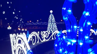 Никакого праздника: Николай Любимов ввел новогодние ограничения