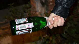 В Брянске будут судить убийцу садовода