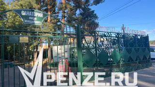 Детям хотят выдавать оздоровительные сертификаты