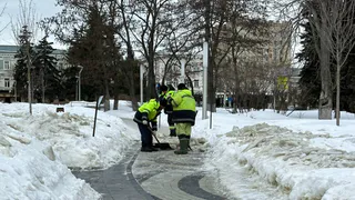 «С четверга будет бесплатно для любого пенсионера». Новая льгота вводится с 14 марта