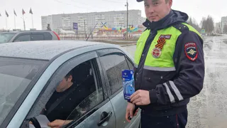 Госавтоинспекторы в Коми в ходе рейда не выявили пьяных водителей