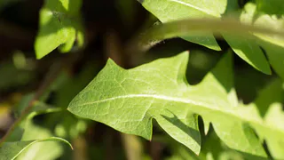 На юге Коми термометры поднимутся выше нуля