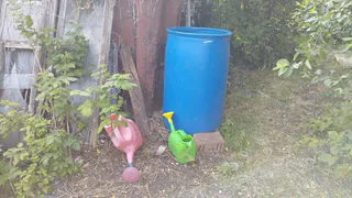 Поставили старую бочку на табуретку — для огорода лучше не придумаешь: сберег кучу денег