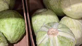 Как приготовить квашеную капусту такой же вкусной, как в детстве: три простых правила – теперь делаю только так