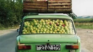 В подорожании бензина обвинили дачников