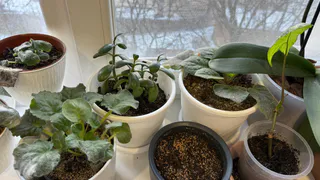 Домашние вампиры: 6 вещей в доме, которые крадут ваше здоровье день за днем 