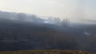 Сайлент-Хилл по-рязански: городские поля окутались дымом