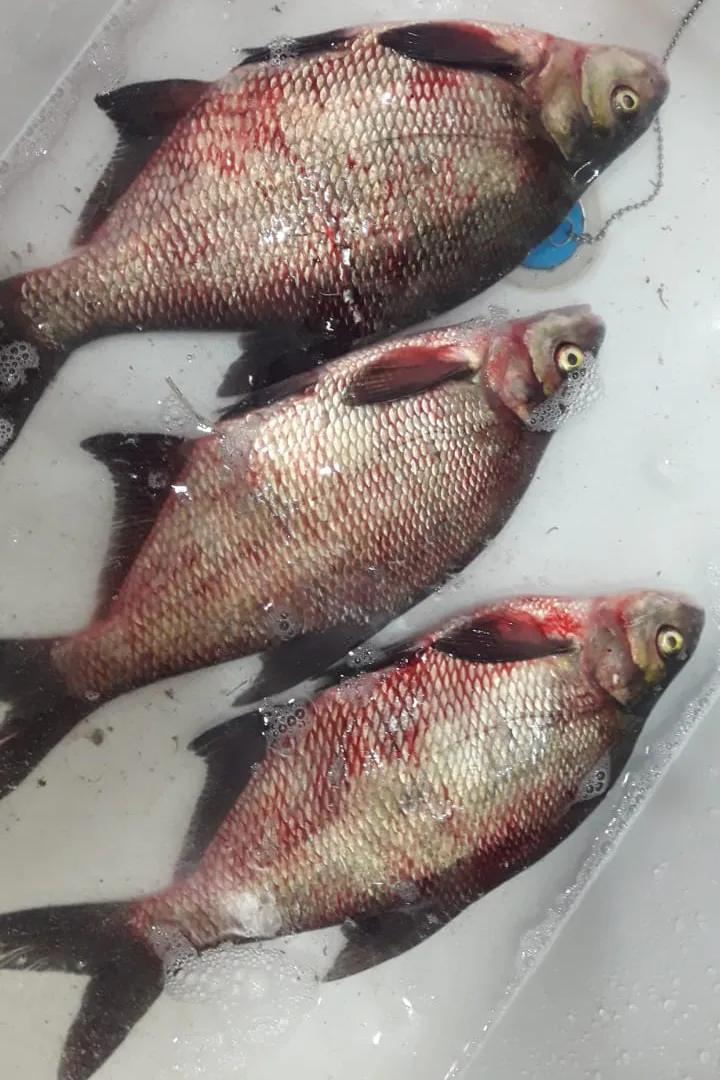 Топ-5 продуктов для хорошего гемоглобина