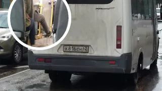 Герои среди нас: водитель маршрутки спас жизнь пассажиру